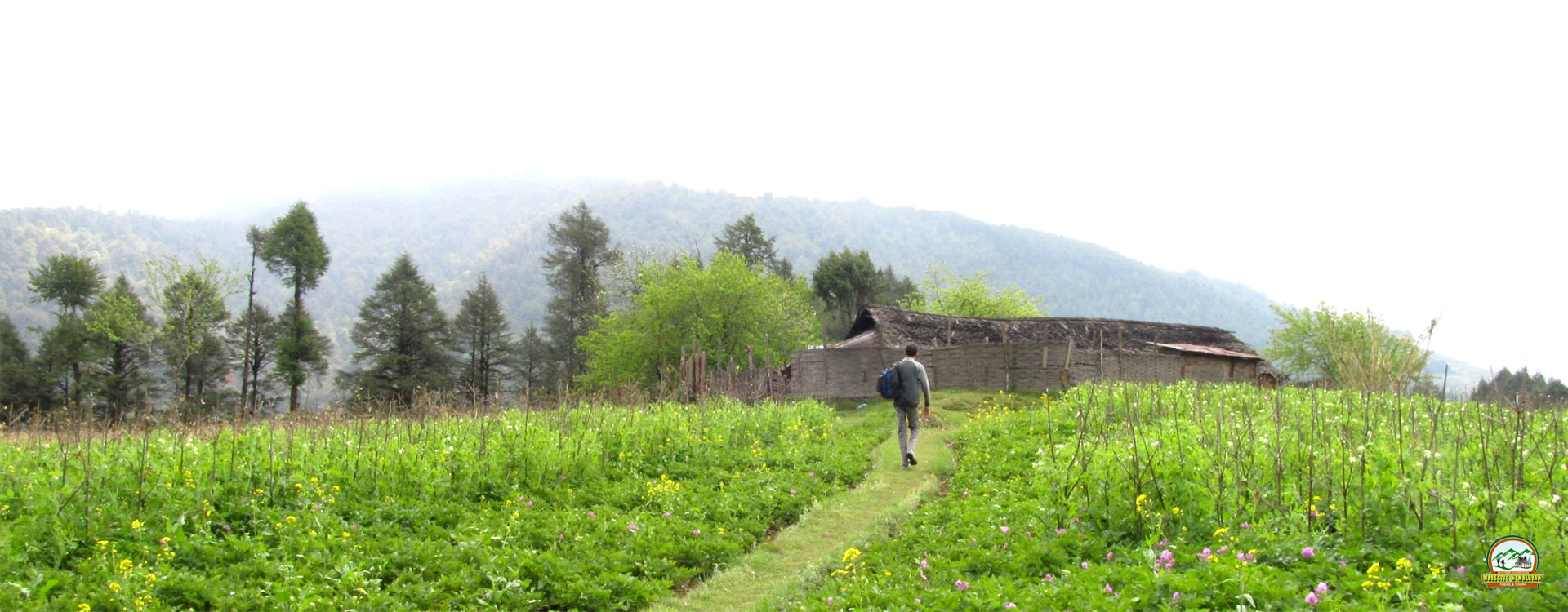 Gorkhey Srikhola Trek